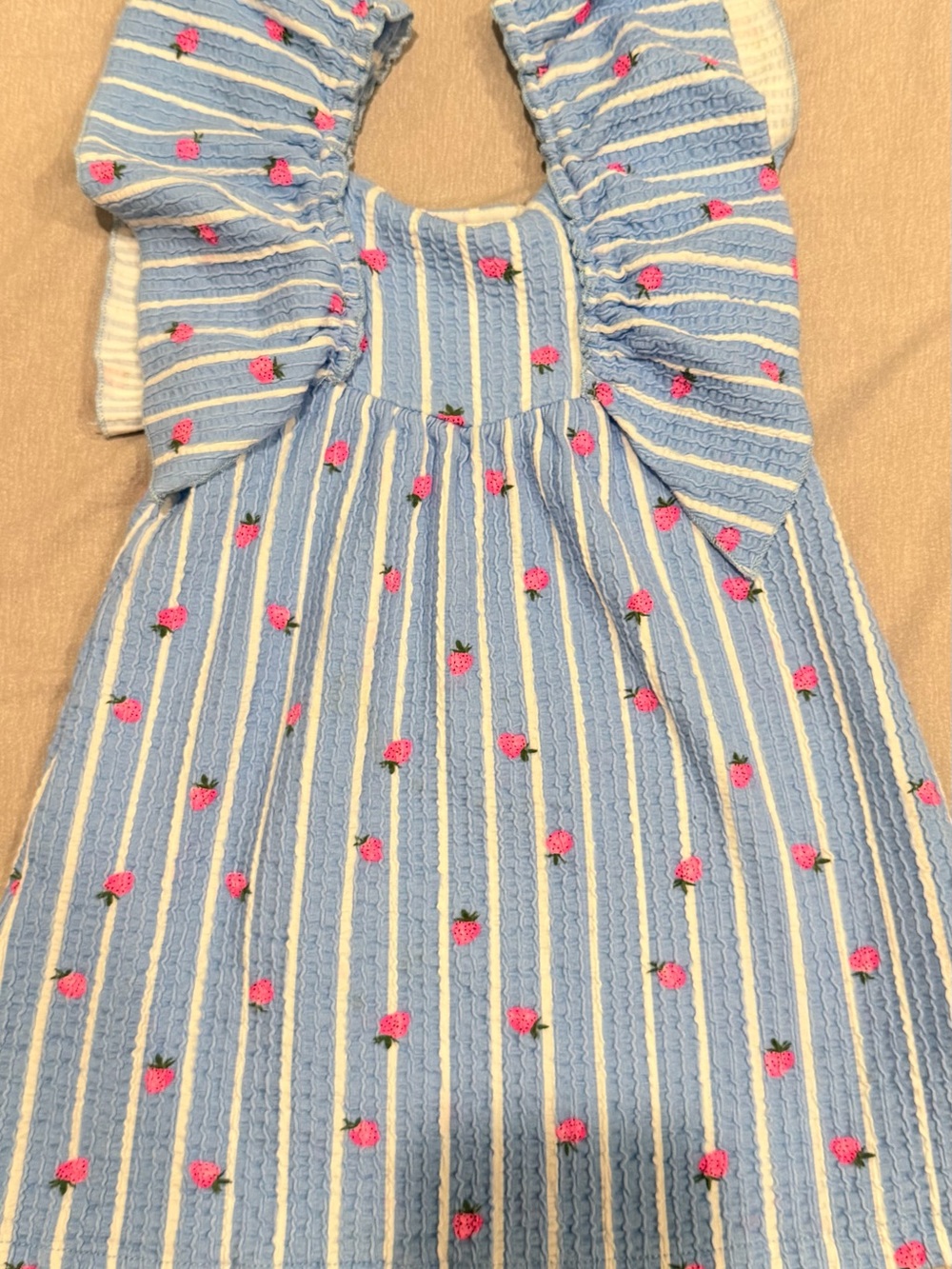 ZARA Blue Stripe Girls Dress with Pink Strawberry Embroidery